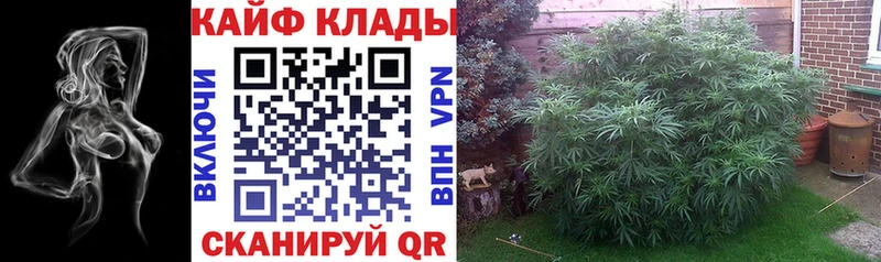 Виды наркотиков купить Зеленокумск Галлюциногенные грибы Кокаин МЕФ KRAKEN маркетплейс А ПВП Бошки Шишки