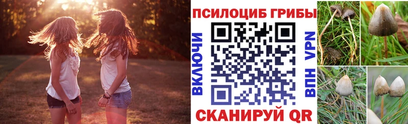 Галлюциногенные грибы Psilocybine cubensis Зеленокумск