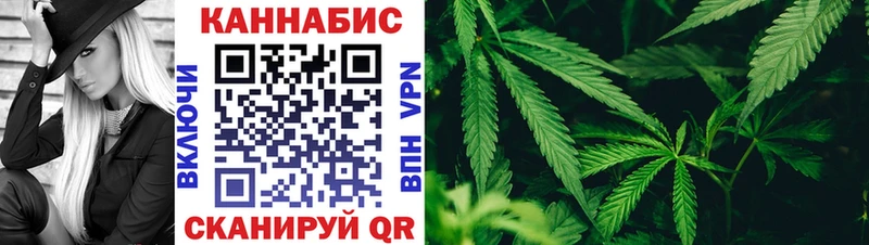 Каннабис гибрид  Зеленокумск 